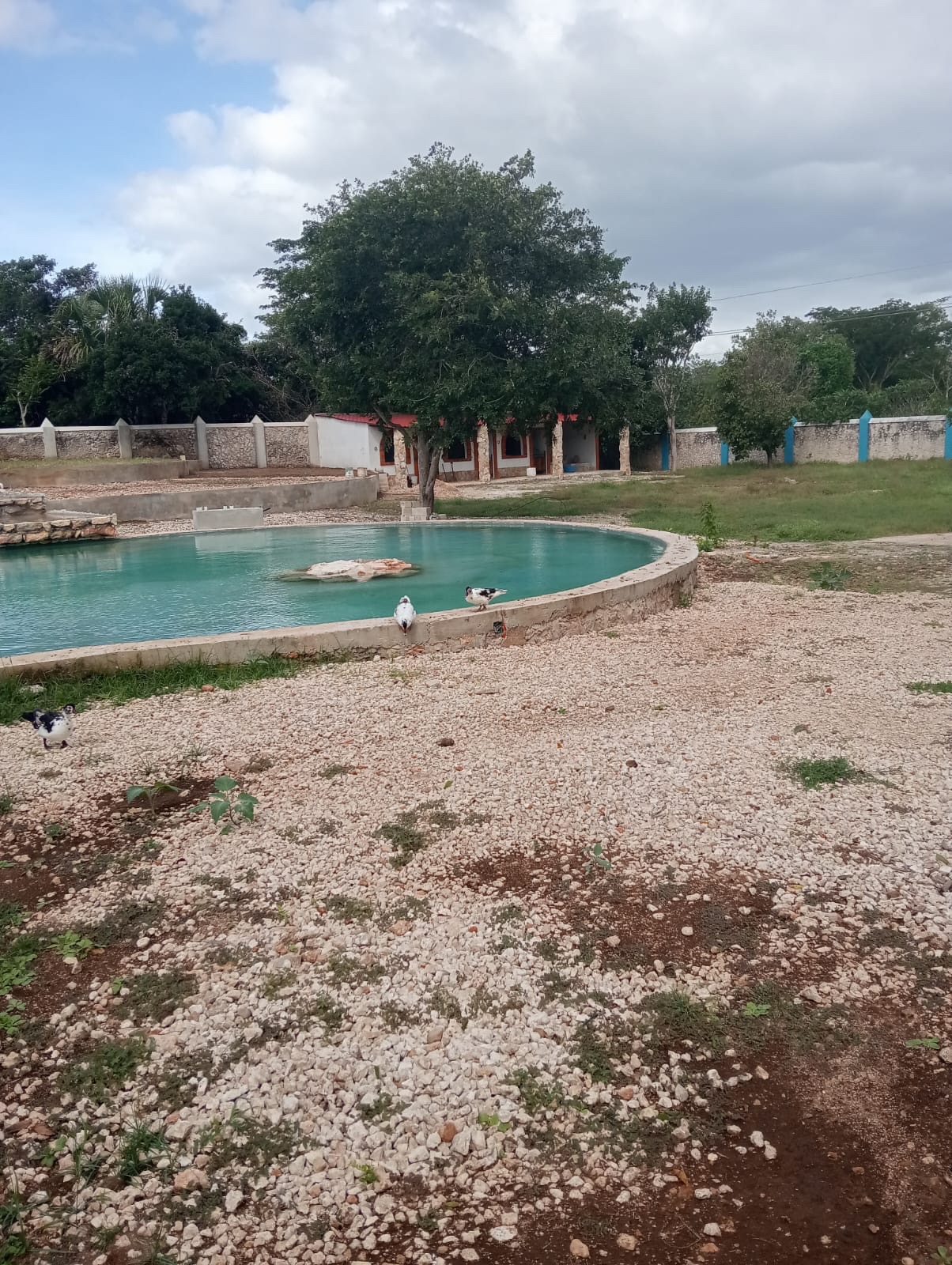 Vista exterior de la propiedad con entorno natural