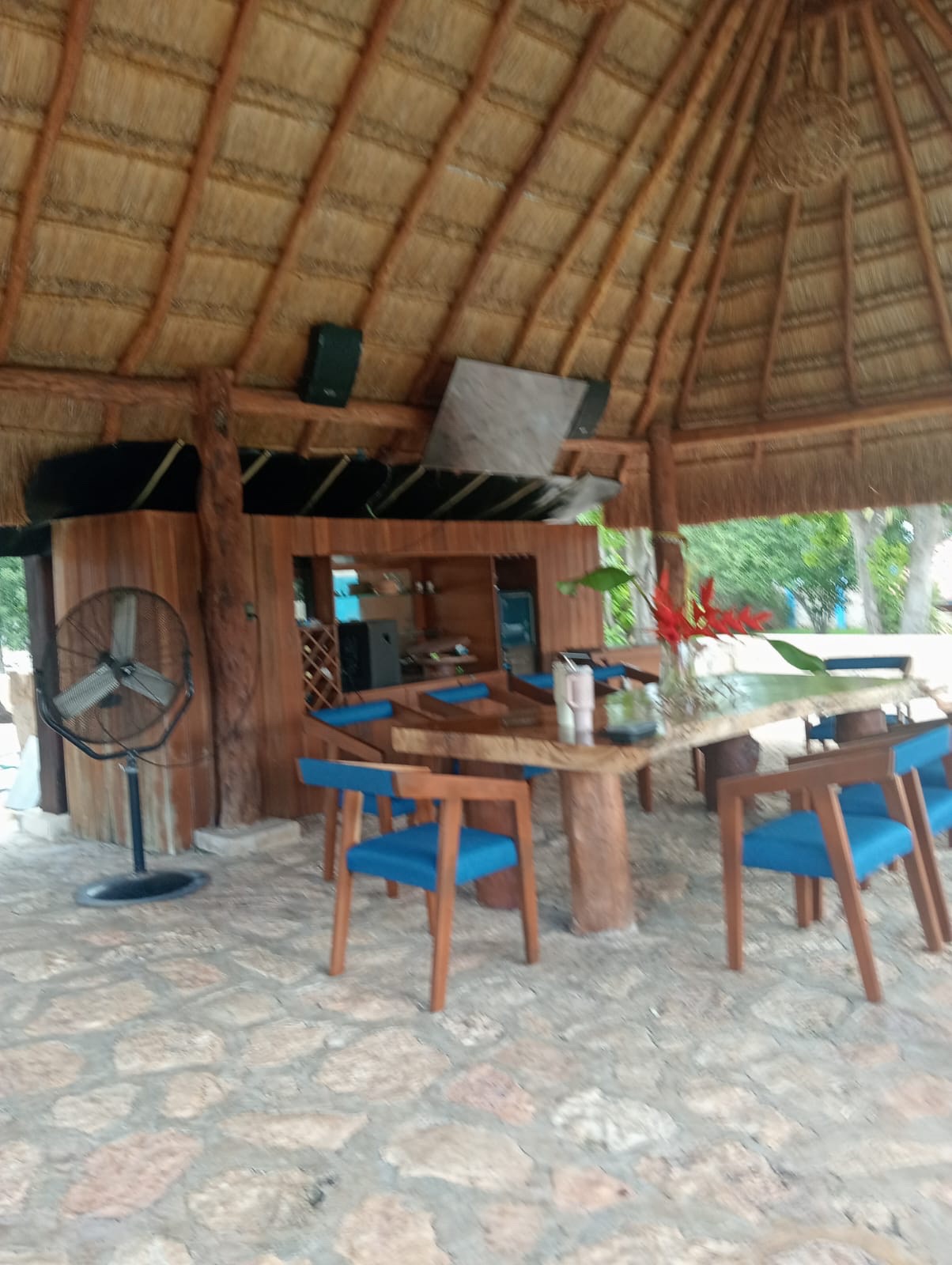 Palapa tipo bar